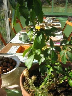 Les ateliers de la scierie, OFFICE DE TOURISME DU SAINT AFFRICAIN