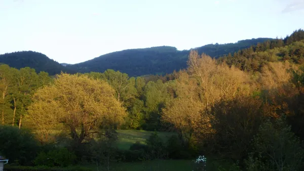 Chez Myriam Romiguier, Atelier Romy : travail du cuir, stages et formations.