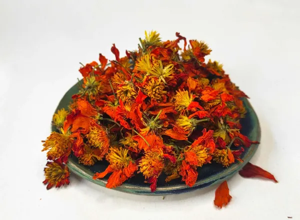 Oogaya Créations, OOGAYA