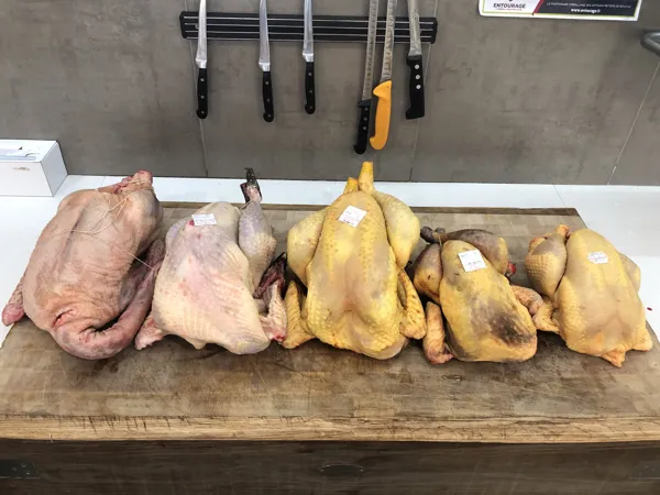 Oie, Dinde de Noêl, Chapon, Pintade et Poulet, Au Bec Fin