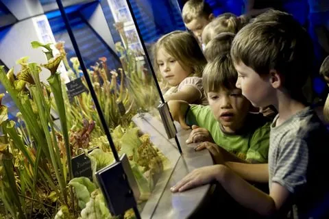 MICROPOLIS LA CITÉ DES INSECTES (groupes), OFFICE DE TOURISME DE PARELOUP LEVEZOU