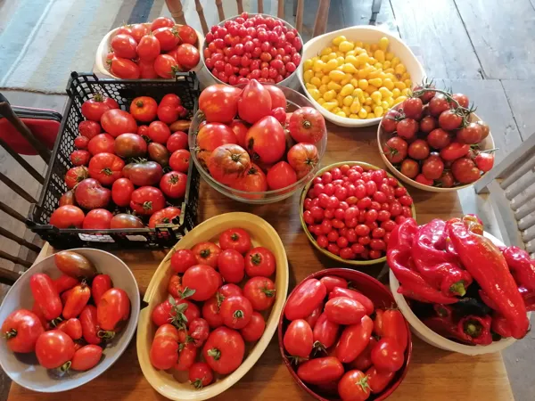 Fruits et légumes