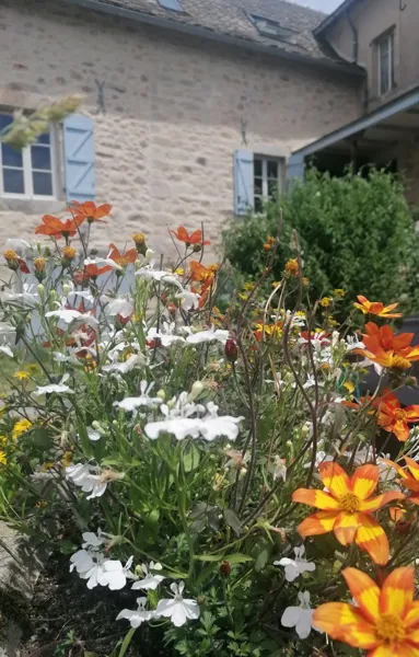 Fleurs du jardin