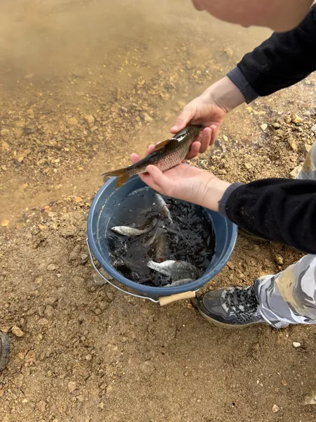 , Adrien Cavallié Pêche Connexion