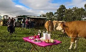 Coopérative Fromagère Jeune Montagne (groupes), Emilie Peigne - Jeune Montage