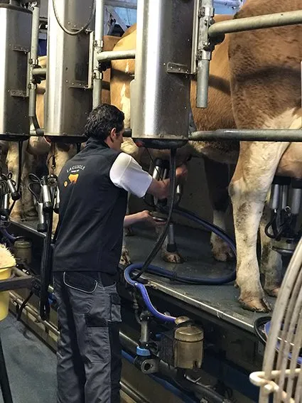 Coopérative Fromagère Jeune Montagne (groupes), Emilie Peigne - Jeune Montage