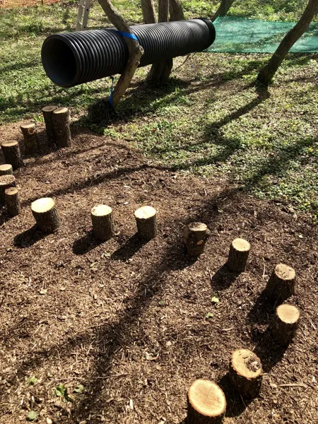 Pas de moineau, Acroparc du mas