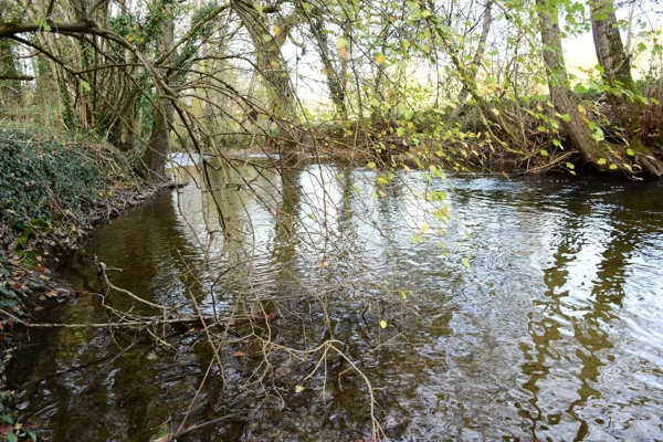 La Diège proche de Capdenac-Gare, Fédération de pêche de l'Aveyron