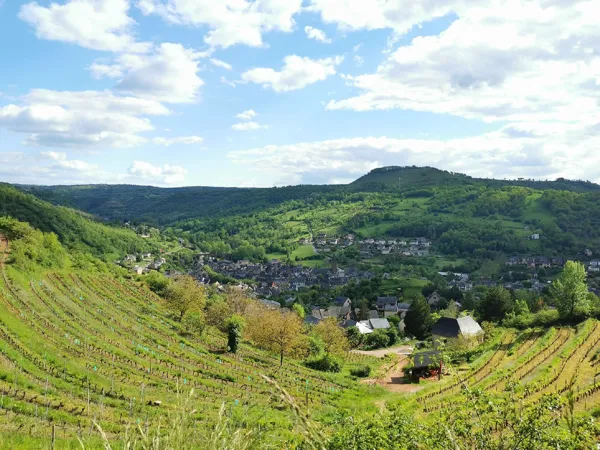 Sur les pas de Pierre Soulages - GR62 de Rodez à Conques, OFFICE DE TOURISME de CONQUES-MARCILLAC