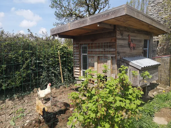 Le poulailler, La Maison Mescladis