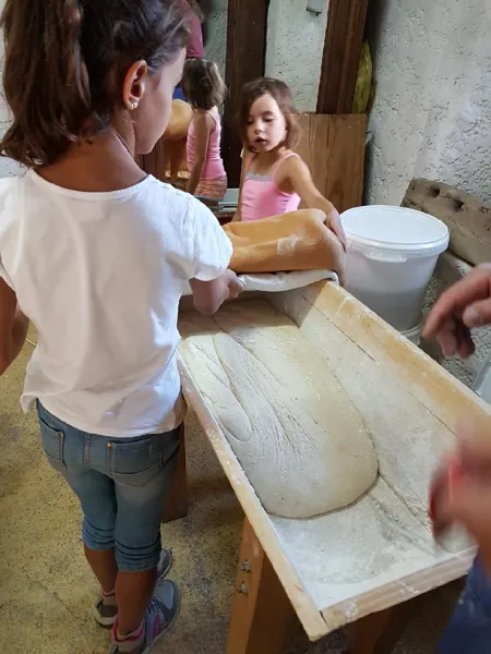 La ferme du Verdier, La ferme du Verdier