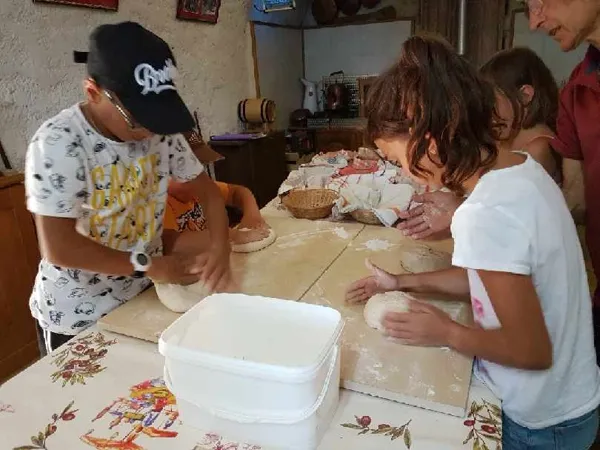 La ferme du Verdier, La ferme du Verdier