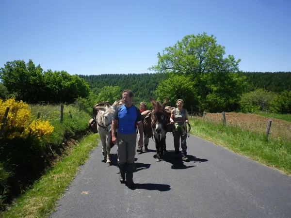 La ferme du Verdier (groupes), Office de tourisme Argences en Aubrac