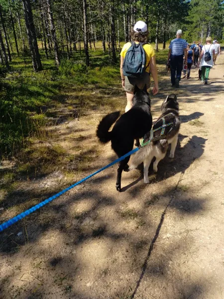 La Maison des Accompagnateurs - Randonnée