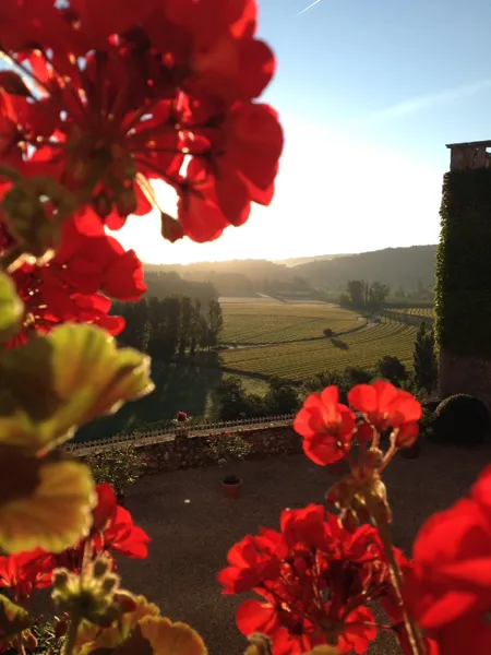 Château de Cénevières, Château de Cenevieres