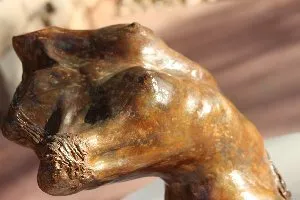 Instant Terre, Véronique Lagarde