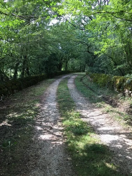Joli chemin qui mène au lac