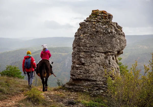Fed' Ane - Balades et randonnées avec un âne