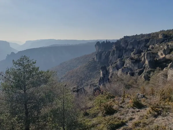 Fed' Ane - Balades et randonnées avec un âne
