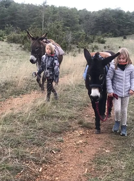 Fed' Ane - Balades et randonnées avec un âne