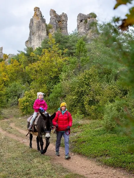 Fed' Ane - Balades et randonnées avec un âne