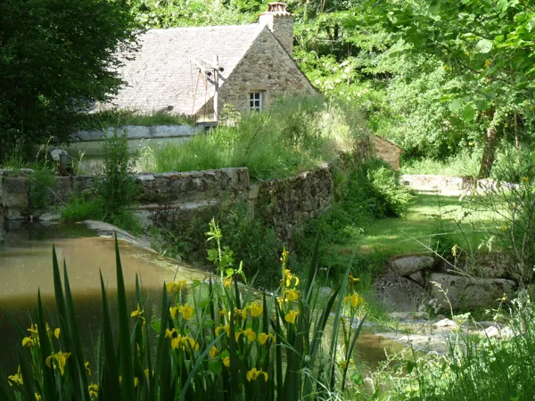 Les Martinets du Lézert, OT Aveyron Ségala