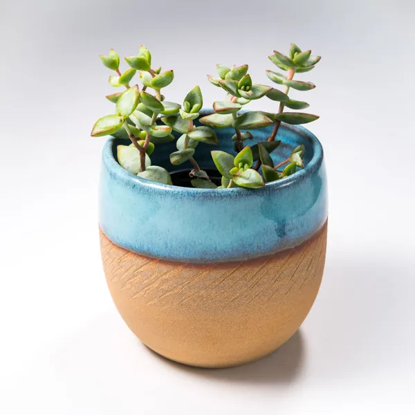 Pot pour les plantes, 