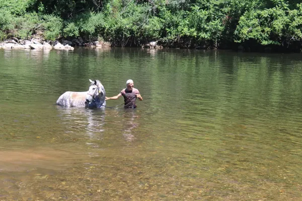 Ferme équestre du Mas de Laval, OFFICE DE TOURISME DE CAPDENAC (BUREAU DE L'OT DU PAYS DE FIGEAC)