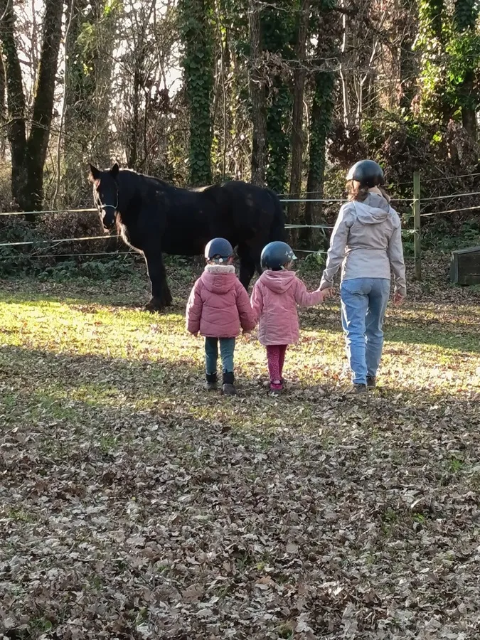 , Centre Equestre de Najac