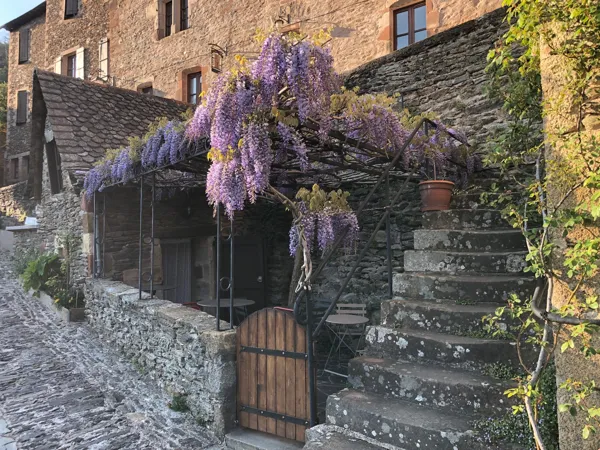 La Terrasse à l'ombre d'une glycine, le comtpoir de Germain