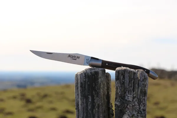 Laguiole piquet d'Aubrac, 