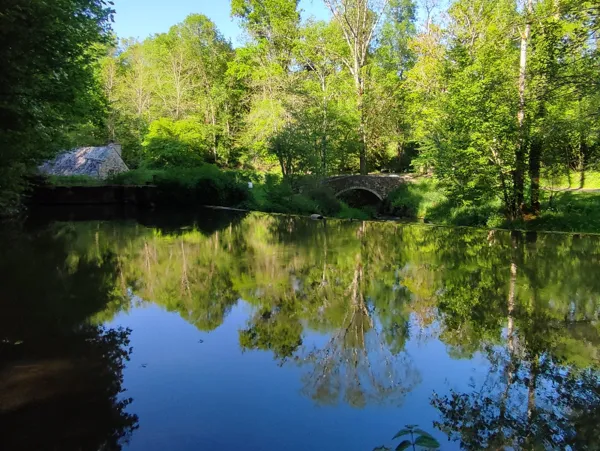Les Martinets du Lézert (Groupe), Les Martinets du Lézert