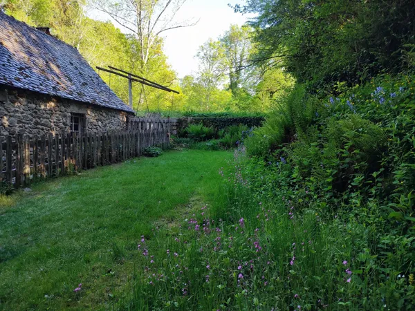 Les Martinets du Lézert (Groupe), Les Martinets du Lézert