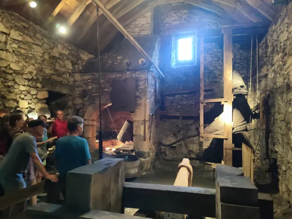 Les Martinets du Lézert (Groupe), Les Martinets du Lézert