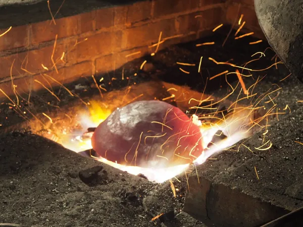 Les Martinets du Lézert (Groupe), Les Martinets du Lézert