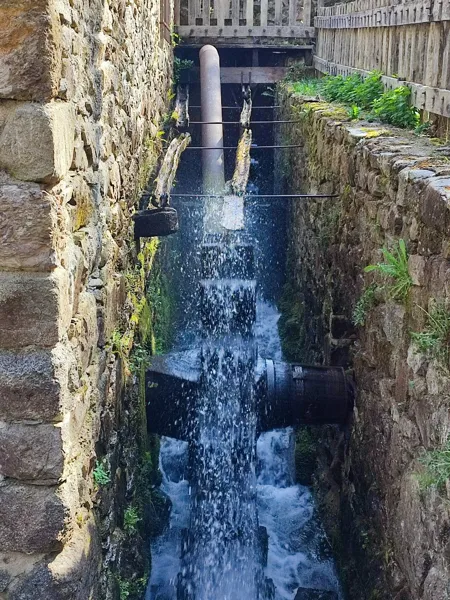 Les Martinets du Lézert (Groupe), Les Martinets du Lézert