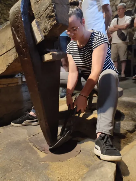 Les Martinets du Lézert (Groupe), OFFICE DE TOURISME AVEYRON SEGALA