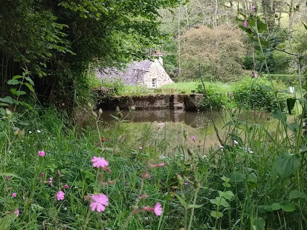 Les Martinets du Lézert (Groupe), Les Martinets du Lézert