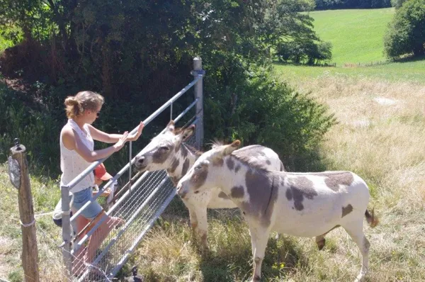 Galopin et Galipette adorent les caresses et les croûtons de pain!, 
