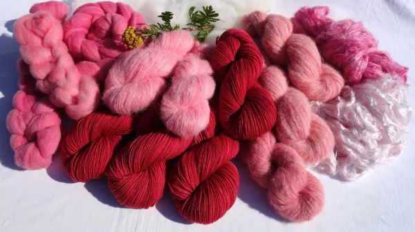 Teinture de laines cochenille, Laines 