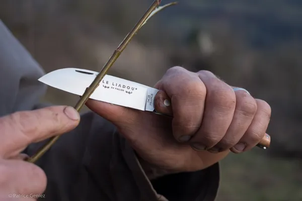 Liadou manche en genévrier 2, 