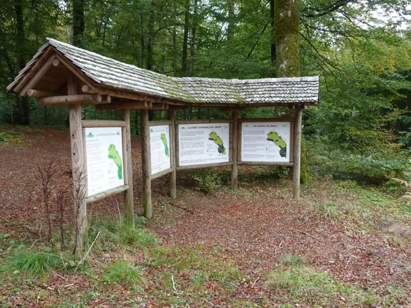 Aire de pique-nique du Lagast, Sentier d'Interprétation de la Hêtraie