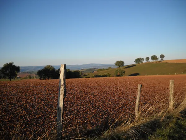 Aire de pique-nique de Monteils, Office de Tourisme Rougier d'Aveyron Sud