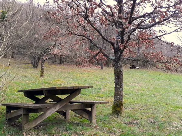 Aire de pique-nique du Saut de la Loche, Office de Tourisme Rougier d'Aveyron Sud