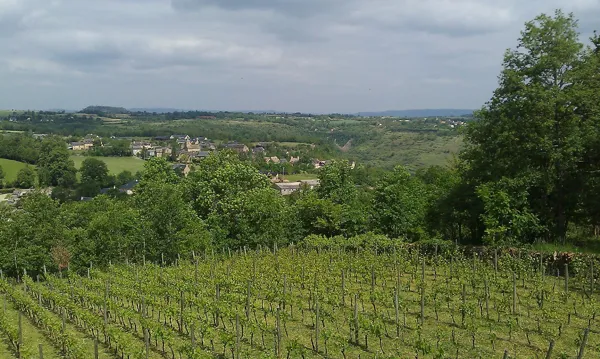 Domaine du Grès, 