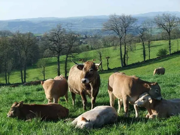 La ferme de Mathilde, Office de Tourisme en Aubrac