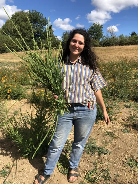 Cazelle, OFFICE DE TOURISME DU REQUISTANAIS