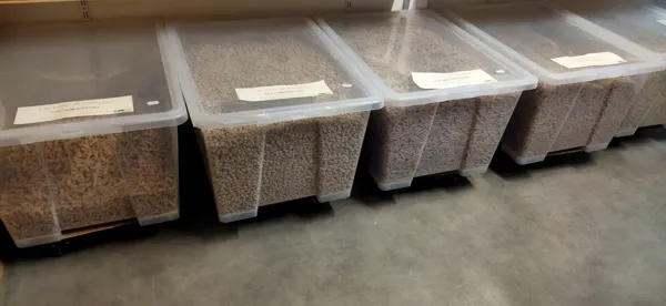 Les pates de Rémylie- Pâtes en vrac, Rémy Puech