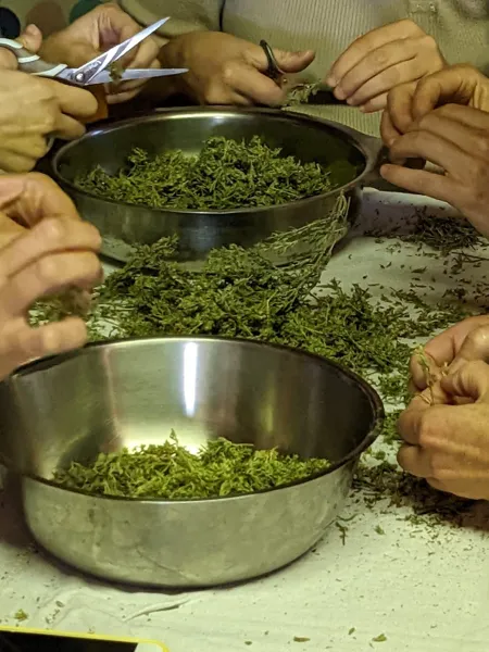 Kalys Artisan Agricole, Kalys Artisan Agricole