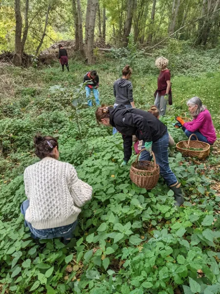Kalys Artisan Agricole, Kalys Artisan Agricole
